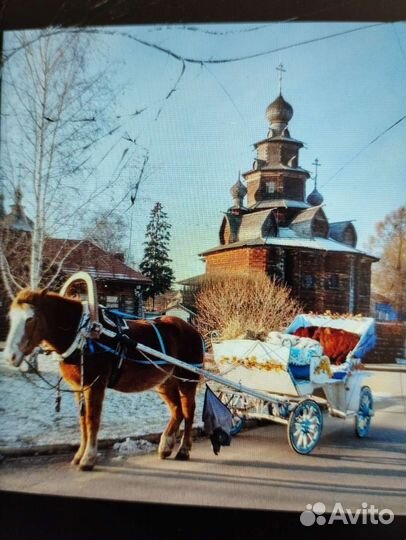 Экипажи для лошади
