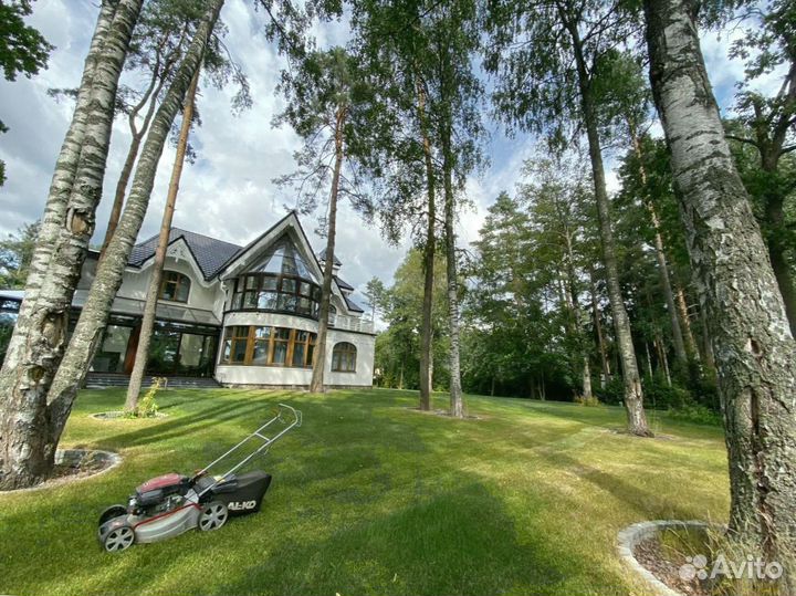 Рулонный газон