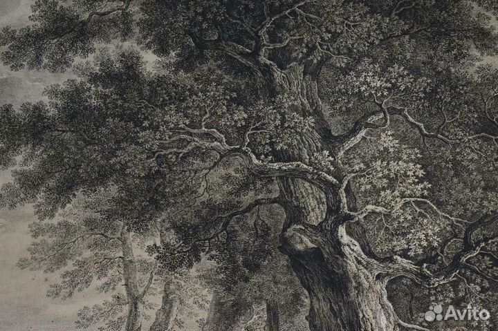 Старинная литография