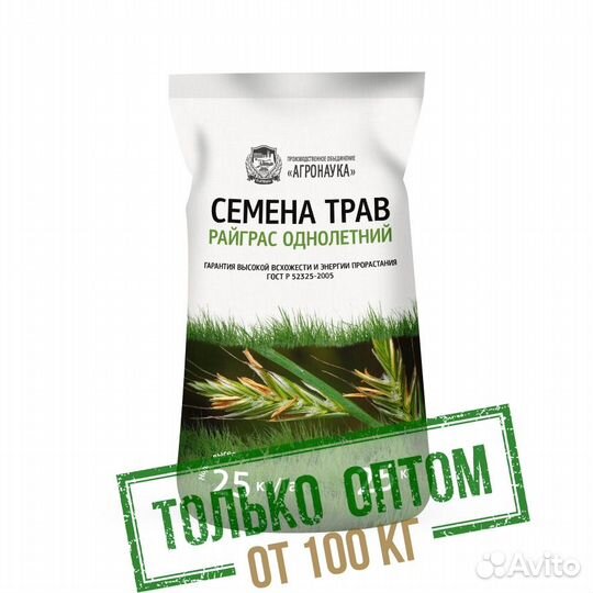 Семена райграса однолетнего, сорт 