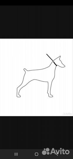 Ошейник для дресировки собак