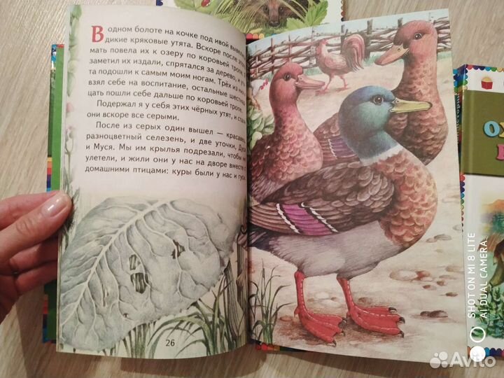 Детские книги с рассказами о природе и о животных