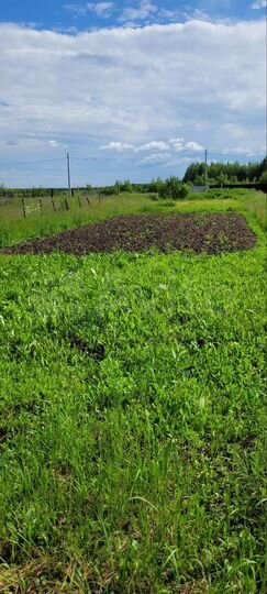 Участок 10 сот. (ИЖС)