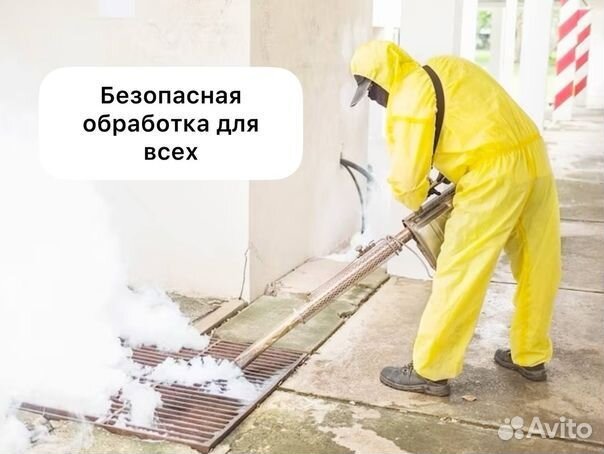 Уничтожим всех грызунов