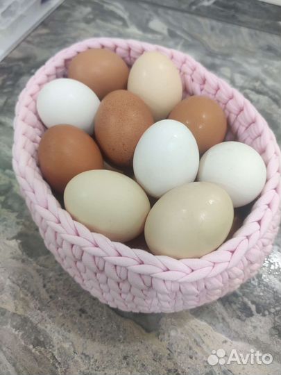 Домашние куриные яйца