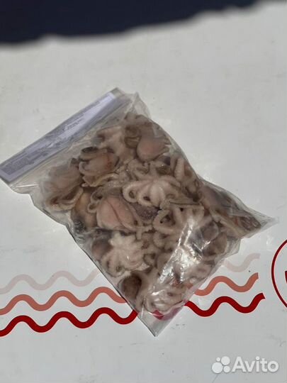 Осьминог молодой 1 кг. с/м