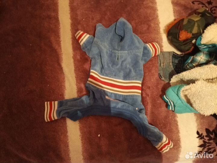 Вещи для собак пакетом