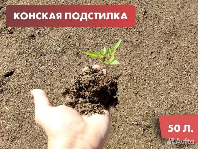Подстилка конская (навоз конский с опилками) 50 ли