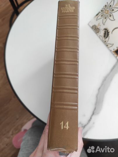 Салтыков-Щедрин