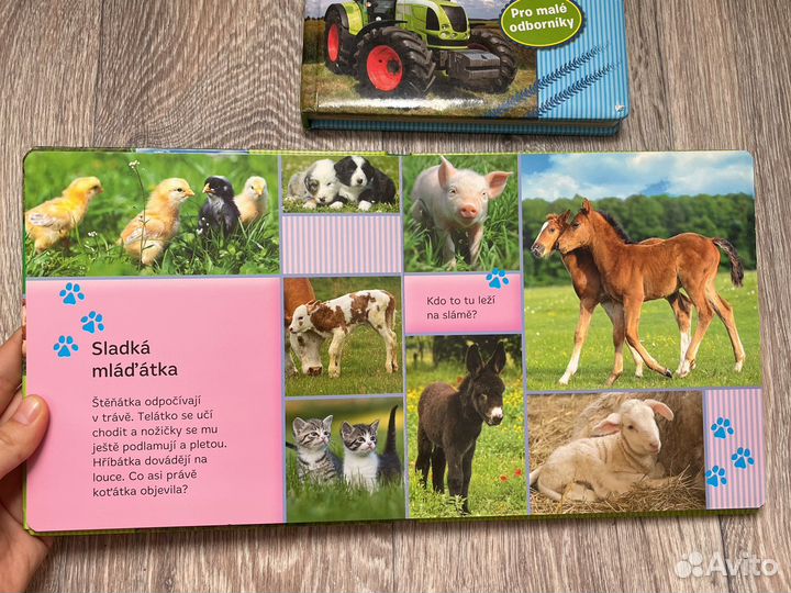 Книги картонки для малышей