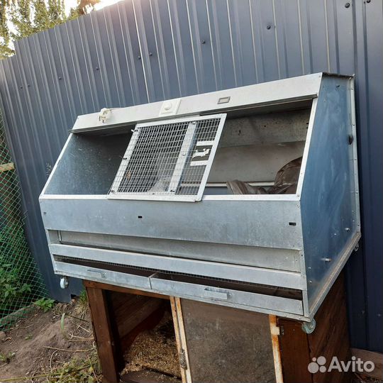 Куры и петухи брама, маран, форверк, малин