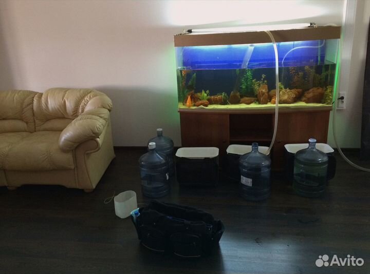 Перевозка аквариума с рыбками