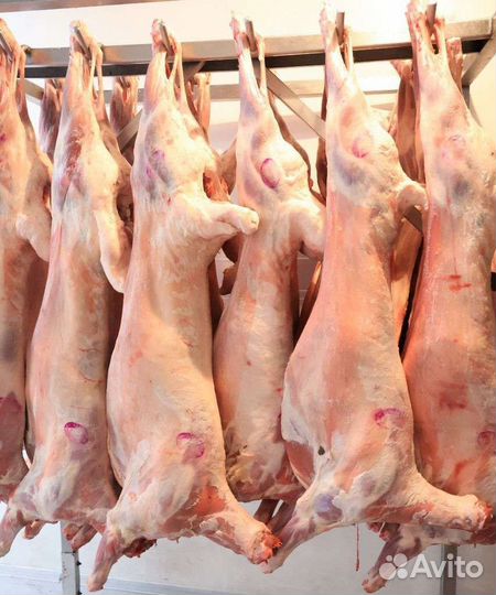 Продам мясо баранины