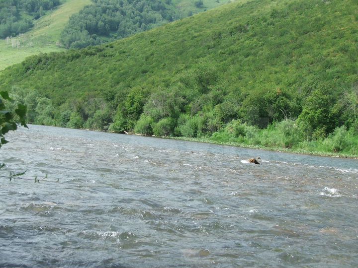 Участок 21,29 га (СНТ, ДНП)