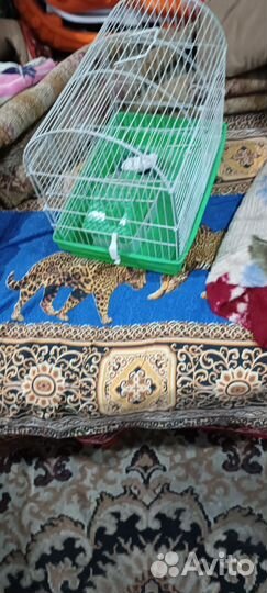 Клетка для хомяков бу
