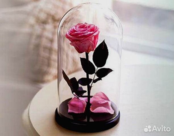 Роза в колбе. Любые размеры