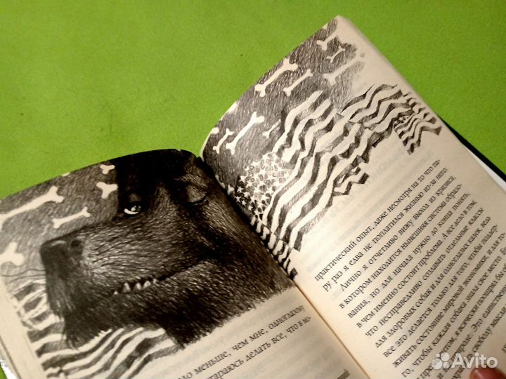 Тим Макхью Иван жизнь глазами собаки