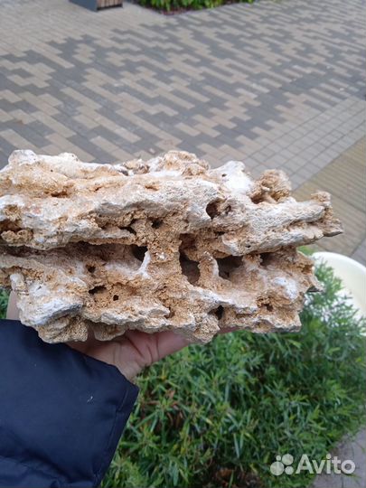 Камень песчаник для аквариума