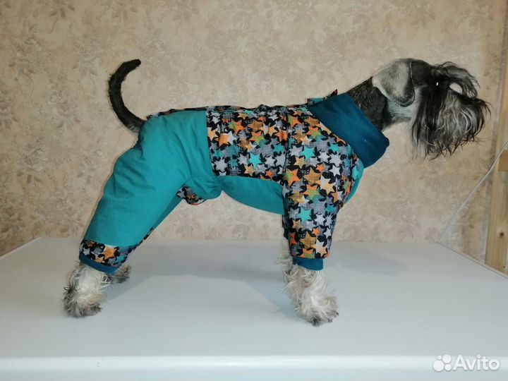 Новые:Пальто,комбинезон одежда для собачки