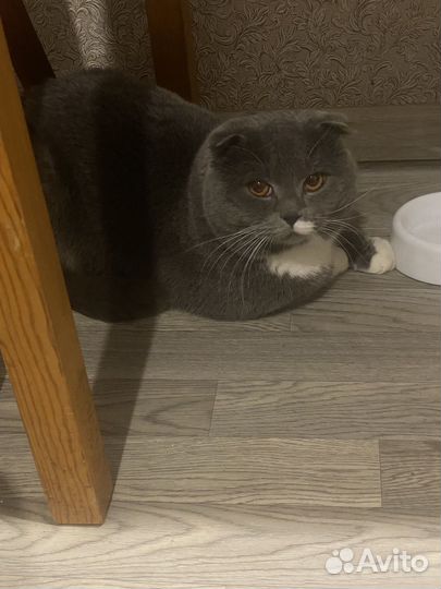 Ищем подружку