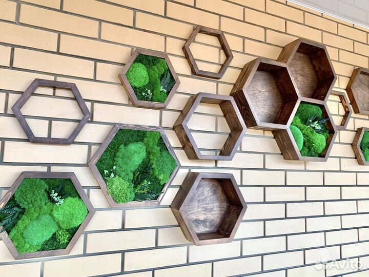 Стабилизированный Мох. Озеленение.Декорирование