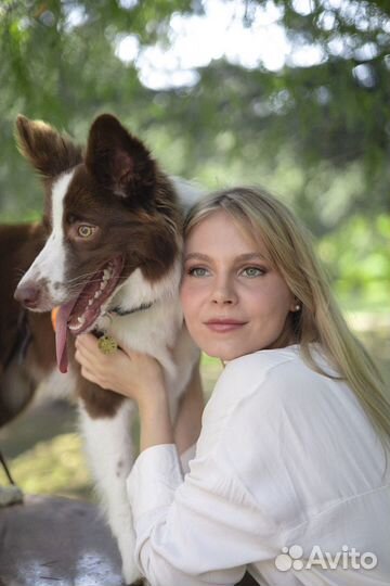 Фотограф животных, зоофотограф