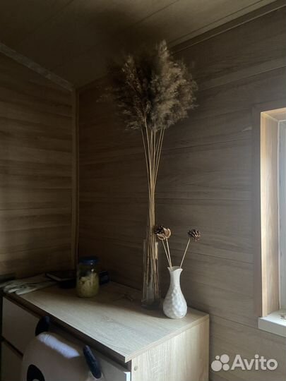 Помпасная трава