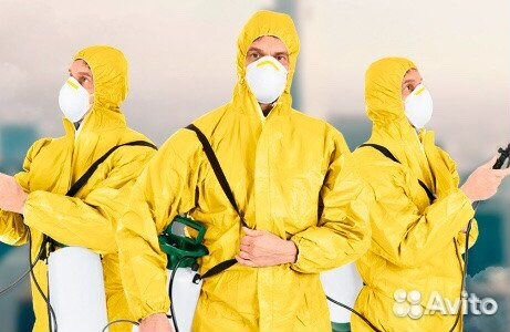 Дезинсекция, дезинфекция, дератизация