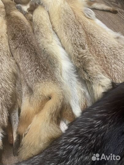 Шкурки лисьи