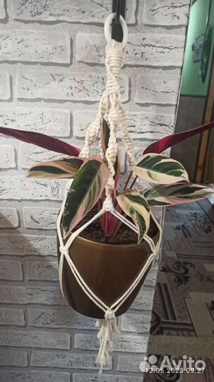 Кашпо для цветов макраме