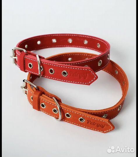Ошейник для собак