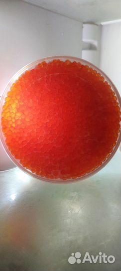 Красная икра