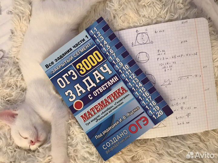 Репетитор по математике 1-11 класс