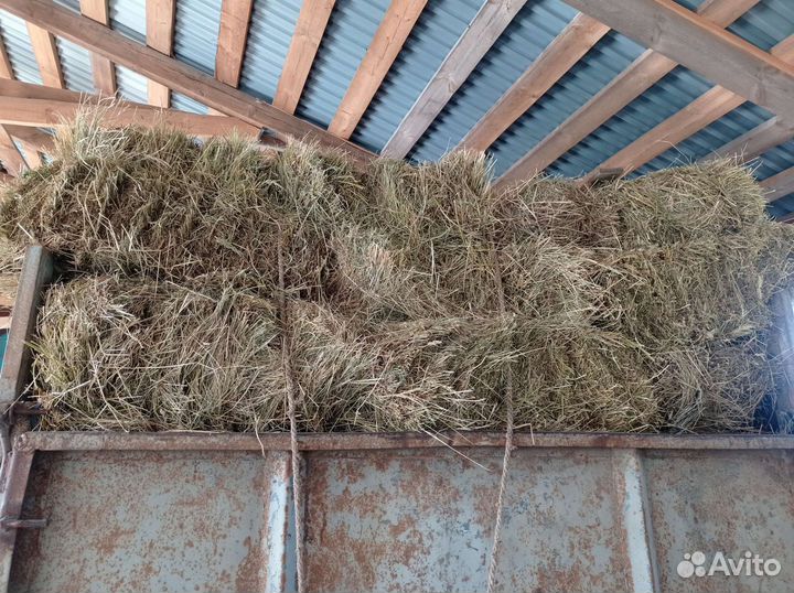 Сено солома в тюках