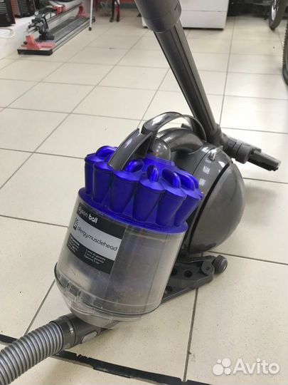 Пылесос Dyson DC37 Allergy Musclehead (С45)
