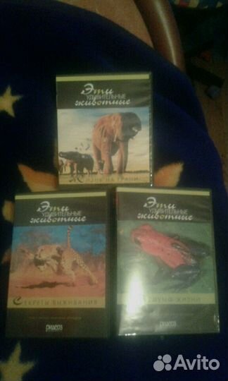 Видео о жизни животных