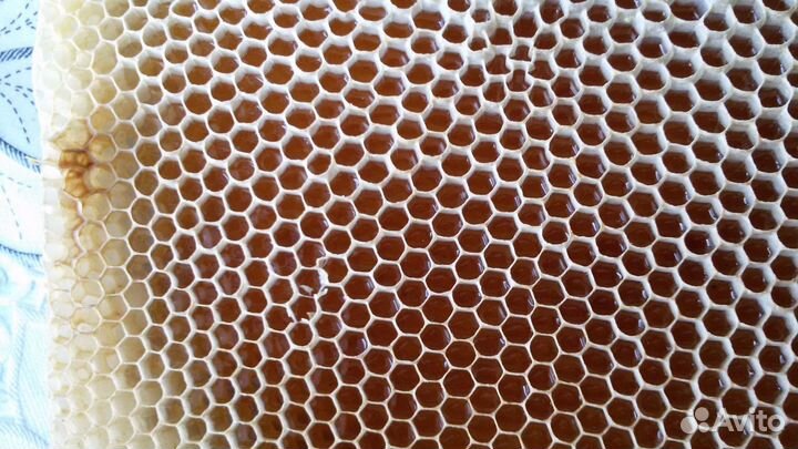 Мед, мёд, воск, прополис.Всё с личной пасеки 2024