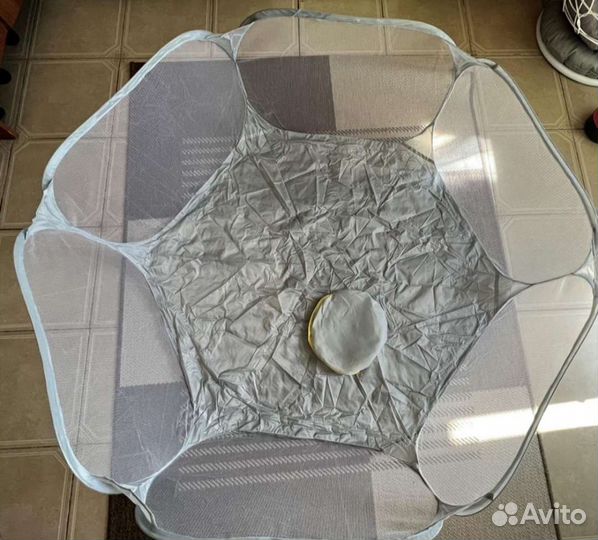 Манеж для животных