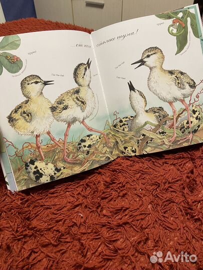 Книги издательства миф