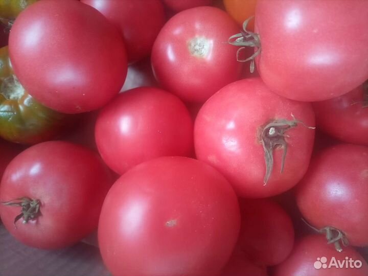 Помидоры домашние
