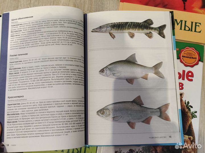 Серия книг Удивительный мир природы