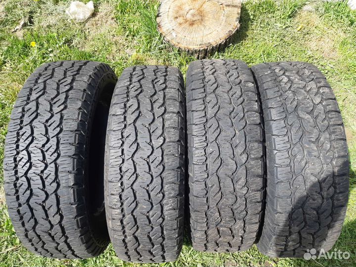 Шины Матадор Изарда