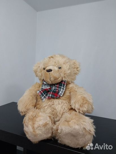 Мишка новый