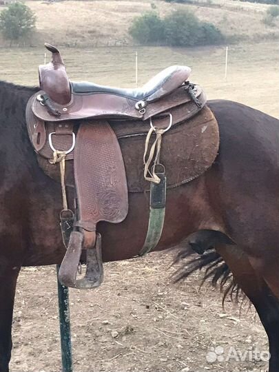 Седло для лошади вестерн