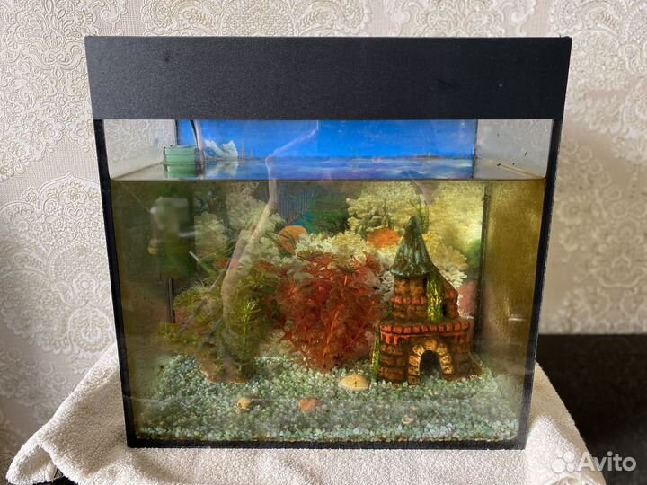 Аквариум