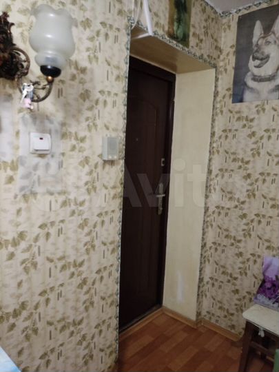 3-к. квартира, 79,7 м², 2/5 эт.