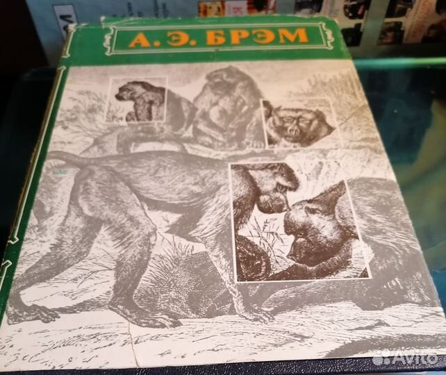 А брем жизнь животных мир вокруг нас