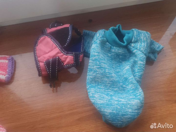 Одежда для маленьких собак