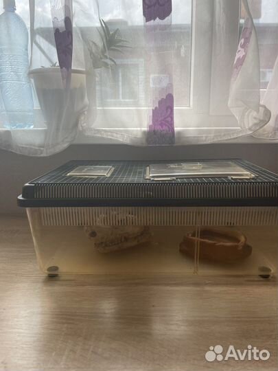 Террариум для змеи