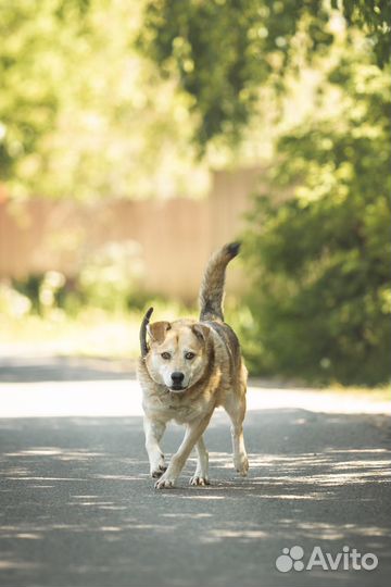 Этот парень вам понравится